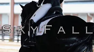SkyFall || Dressage Music Video ||