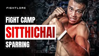 Sitthichai SPARRING I Fightlore Official