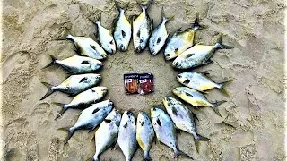 This is WHAT HAPPENS when you USE THIS BAIT SURF FISHING!