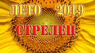 Стрелец. Лето 2019. 12 домов