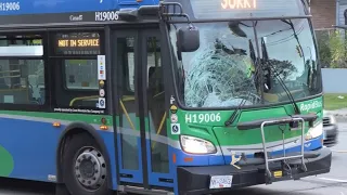 Pedestrian in critical condition after being struck by bus in British Columbia