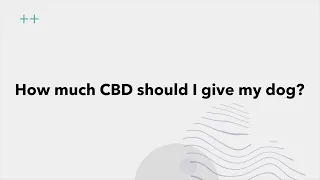 How much CBD should I give my dog?