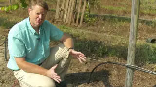 Ison's Nursery How to Setup a Drip Irrigation System