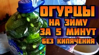 Огурцы в пластиковых баклажках, рецепт соленых огурцов, заготовки на зиму без кипячения