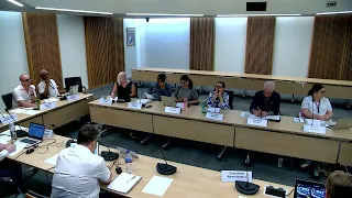 Audit & Governance Committee - 19 July 2022
