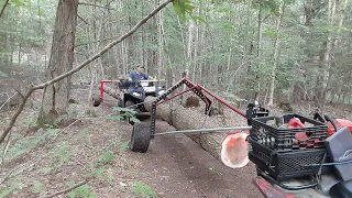 The log arch!