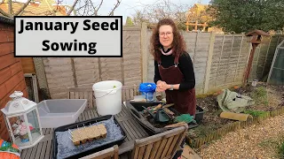 January Seed Sowing - Allotment Gardening For Beginners