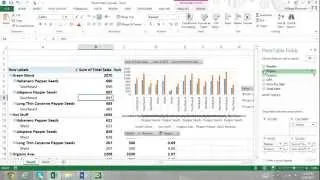 Pivot Table Tutorial Excel 2013 For Beginners Part 2: Report Filters Slicers Pivot Charts Excel 2013