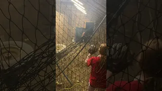 Batting cage in the horse barn