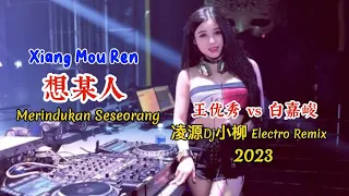 王优秀 vs 白嘉峻 - 想某人 - Xiang Mou Ren - (凌源Dj小柳 Electro Remix 2023) - Merindukan Seseorang #dj抖音版2023