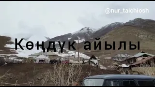 Алайкуу