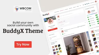 Free BuddyX Theme BuddyPress Nouveau Customizer Options  | Best WordPress Social Network Theme 2023