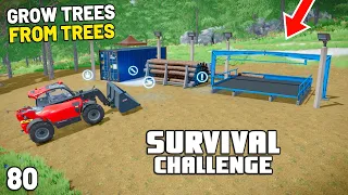 GROW TREES FROM TREES | Survival Challenge | Farming Simulator 22 - EP 80