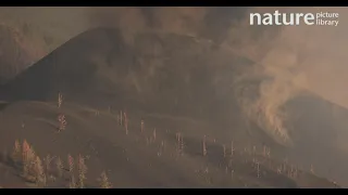 Ash cloud, Cumbre Vieja Volcano. La Palma, Canary Islands, September 2021