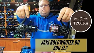 Jaki kołowrotek do 300zł?|| Który lepszy?|| Sherman Pro vs Daiwa Ninja