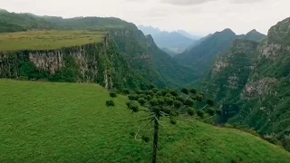 Caminhos da Natureza