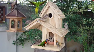 Build Most Amazing Creative and Simple Bird House and Bird Feeder