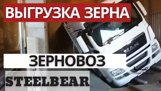 Выгрузка зерна на терминале - зерновозы STEELBEAR!