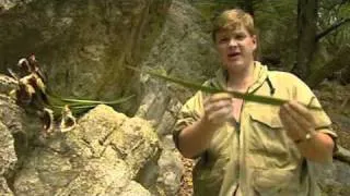 Ray Mears-Useful desert plants for making string, soap and more