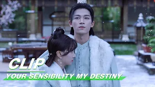 Clip: A Hug In The Snow | Your Sensibility My Destiny EP01 | 公子倾城 | iQiyi