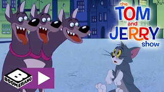 The Tom and Jerry Show | Stay Away Evil Dogs | Boomerang UK 🇬🇧