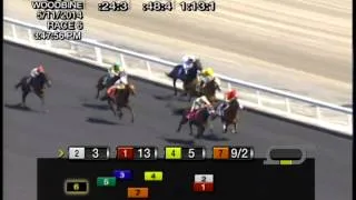 Woodbine, Tbred, May 11, 2014 Race 6