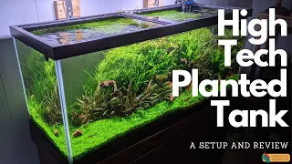 My First Hi-Tech Planted Tank: A Casual Guide & Tips