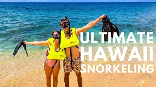 The Complete Hawaii Snorkeling Guide | Watch These 7 Tips Before You Snorkel