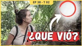 ‼️[QUE SUSTO] 👉🏼 Recorremos el PANTANAL 🚐 [El lado MÁS SALVAJE de BRASIL 🇧🇷] | E38 T2