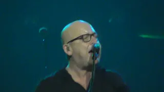 Pixies live 28 Feb 2023 TonHalle@Munich Part 02