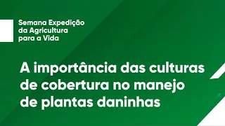 A importância das culturas de cobertura no manejo de plantas daninhas