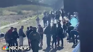 Border patrol release dozens of migrants in California