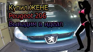 КУПИЛ Peugeot 206 для ЖЕНЫ ! Проект по восстановлению пежо 206 в идеал.