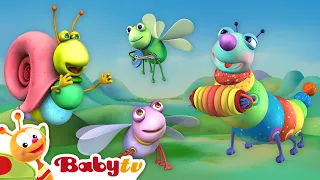 Reggae Chill y Jam 🎻 Big Bugs Band 🐛 | Música para niños 🎵 | Canciones y rimas para niños @BabyTVSP