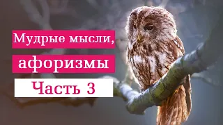 Мудрые мысли великих людей | цитаты | высказывания | изречения | Мои любимые афоризмы. Часть 3