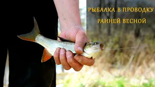 Рыбалка на поплавок в проводку, рыбацкая кухня.