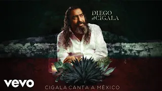 Diego El Cigala - Vámonos (Audio)