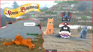 ИСТОРИЯ КОТЫ ВОИТЕЛИ в РОБЛОКС! ОГНЕГРИВ попал к ШАМАНУ в ДРУГОЕ ПЛЕМЯ Warrior Cats Ultimate Edition