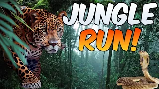 Jungle Run | Dance Break | Dance Now | Like GoNoodle | Brain Breaks|Dance Songs for kids of all ages