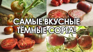 САМЫЕ ВКУСНЫЕ И СЛАДКИЕ СОРТА ТЁМНЫХ ТОМАТОВ ЭТОГО СЕЗОНА!