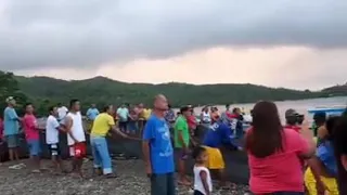 Tone-Toneladang isdang Tulingan sa Romblon