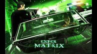 Enter the Matrix Killing an Agent