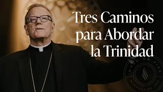 Tres Caminos para Abordar la Trinidad  - Sermón del Domingo del obispo Robert Barron