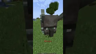 5 FAKTA MENARIK TENTANG RAVAGER DI MINECRAFT🤨 - Fakta Unik Minecraft Indonesia