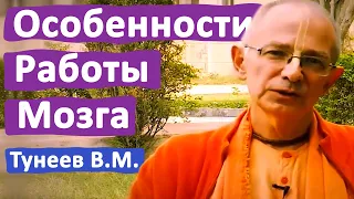 ОСОБЕННОСТИ РАБОТЫ МОЗГА • ВАДИМ ТУНЕЕВ