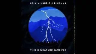 This Is What You Came Calvin Harris (& Rihanna) Summer Song 2016