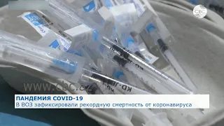 Число заражений COVID-19 в мире превысило 96 млн