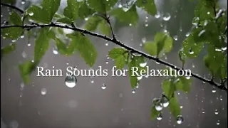 Ambient Sounds for Relaxation | Ambient Music and Rain Sounds for Relaxation and Contemplation 🌧️🌊