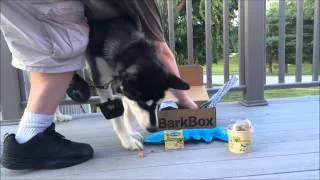 Barkbox Review from Budgetearth.com