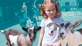 Zoo Animals for Kids - Зоопарк Животные для детей | Video for Kids - Видео для детей